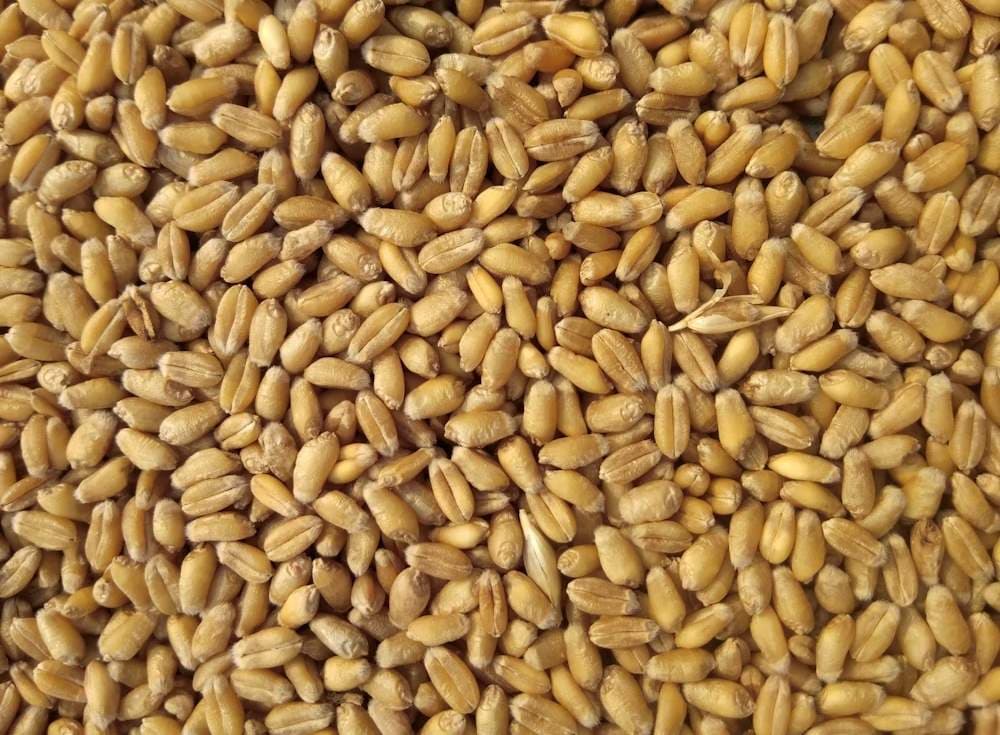 Cesto di prodotti biorazionali dell'Azienda Agricola Il Pichello: miele, farine macinate a pietra, cereali e legumi dell'Appennino Reggiano